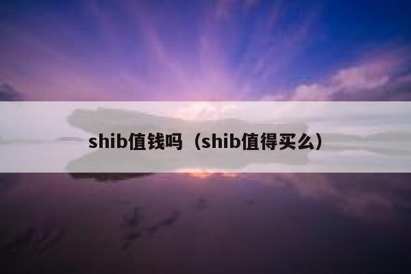 shib值钱吗（shib值得买么） 第1张