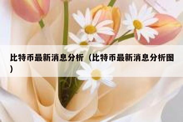 比特币最新消息分析（比特币最新消息分析图） 第1张