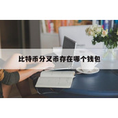比特币分叉币存在哪个钱包中_比特币分叉币存在哪个钱包