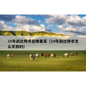 10年前比特币在哪里买（10年前比特币怎么买到的）
