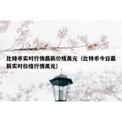 比特币实时行情最新价格美元（比特币今日最新实时价格行情美元）