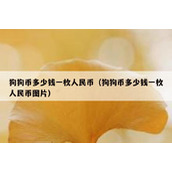 狗狗币多少钱一枚人民币（狗狗币多少钱一枚人民币图片）