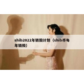 shib2022年销毁计划（shib币每年销毁）
