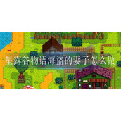 星露谷物语海盗的妻子怎么做