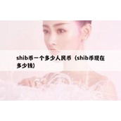 shib币一个多少人民币（shib币现在多少钱）