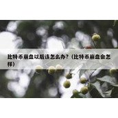 比特币崩盘以后该怎么办?（比特币崩盘会怎样）