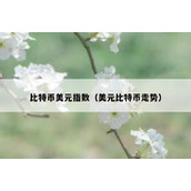 比特币美元指数（美元比特币走势）