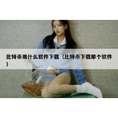 比特币用什么软件下载（比特币下载那个软件）
