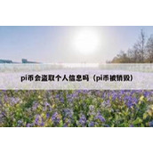 pi币会盗取个人信息吗（pi币被销毁）