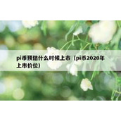 pi币预估什么时候上市（pi币2020年上市价位）