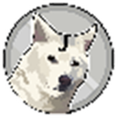 Jindoge币 V1.0 安卓版