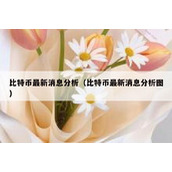 比特币最新消息分析（比特币最新消息分析图）