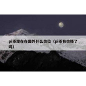 pi币现在在国外什么价位（pi币有价格了吗）