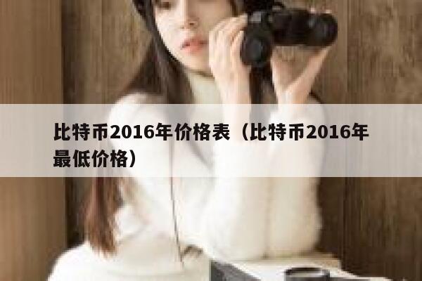 比特币2016年价格表（比特币2016年最低价格） 第1张