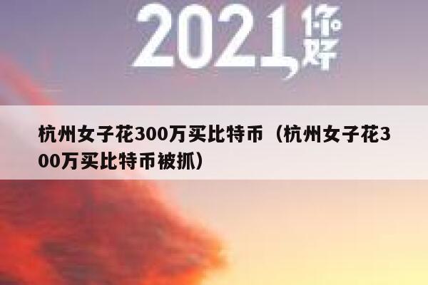 杭州女子花300万买比特币（杭州女子花300万买比特币被抓） 第1张