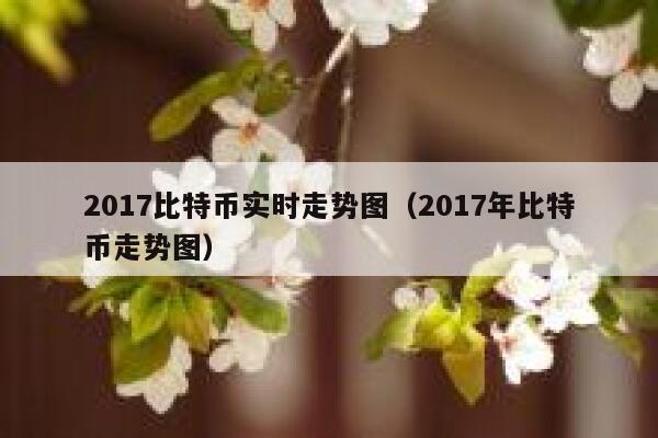 2017比特币实时走势图（2017年比特币走势图） 第1张