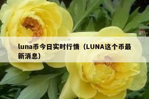 luna币今日实时行情（LUNA这个币最新消息） 第1张