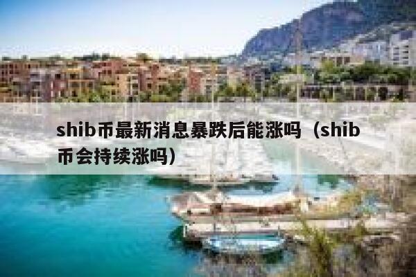 shib币最新消息暴跌后能涨吗（shib币会持续涨吗） 第1张