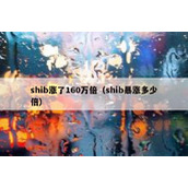 shib涨了160万倍（shib暴涨多少倍）