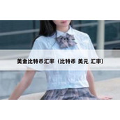 美金比特币汇率（比特币 美元 汇率）