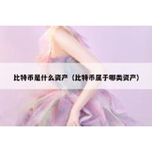 比特币是什么资产（比特币属于哪类资产）
