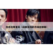 狗币在哪里买（成都买狗的市场在哪里）