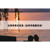 比特币美元交易（比特币美国交易）