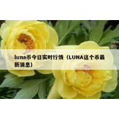 luna币今日实时行情（LUNA这个币最新消息）