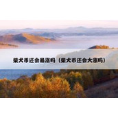 柴犬币还会暴涨吗（柴犬币还会大涨吗）