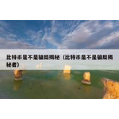 比特币是不是骗局揭秘（比特币是不是骗局揭秘者）