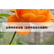 比特币历史价格（比特币历史价格图表）