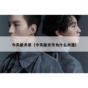 今天柴犬币（今天柴犬币为什么大涨）