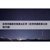比特币最新价格美元汇率（比特币最新美元价格行情）