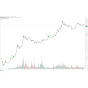 关于比特币减半前6个月走势图的信息