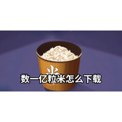 ​数一亿粒米在哪玩