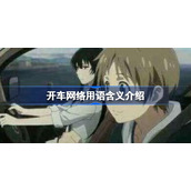 开车网络用语含义介绍-开车是什么意思网络用语