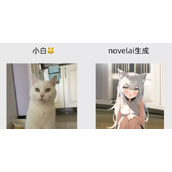 novelai使用安装教程-novelai如何使用