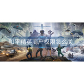 和平精英商户权限怎么关