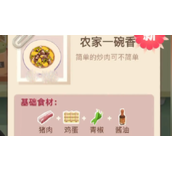 老爹大排档农家一碗香配方指南