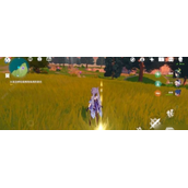 原神前往标记地点附近留影怎么完成