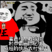 铁柱的农村生活安装包