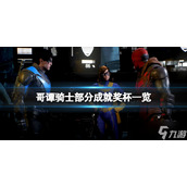 《哥谭骑士》成就有多少？部分成就奖杯一览