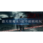 猎天使魔女3能不能联机玩