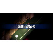 夜回3结局条件是什么-夜回3有几个结局