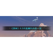 《原神》4.0内鬼爆料内容一览