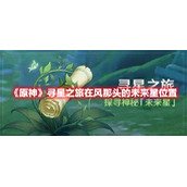 《原神》寻星之旅在风那头的未来星位置