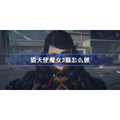 猎天使魔女3猫怎么抓-猎天使魔女3猫捕捉技巧攻略