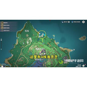 原神海灵芝采集点有哪些