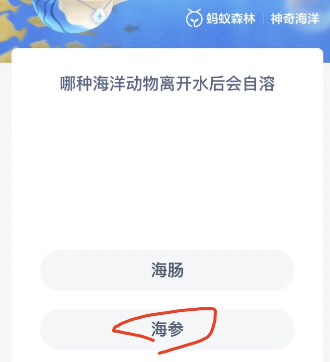 《支付宝》神奇海洋11月1日答案分享