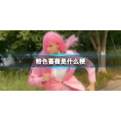 粉色蔷薇是什么梗-抖音粉色蔷薇是是什么意思